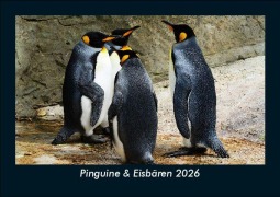 Cover-Bild zum Titel 'Pinguine & Eisbären 2026 Fotokalender DIN A5' von 'Tobias Becker'