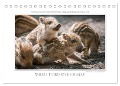 Emotionale Momente: Wilde Tiere der Heimat. (Tischkalender 2025 DIN A5 quer), CALVENDO Monatskalender - Ingo Gerlach GDT