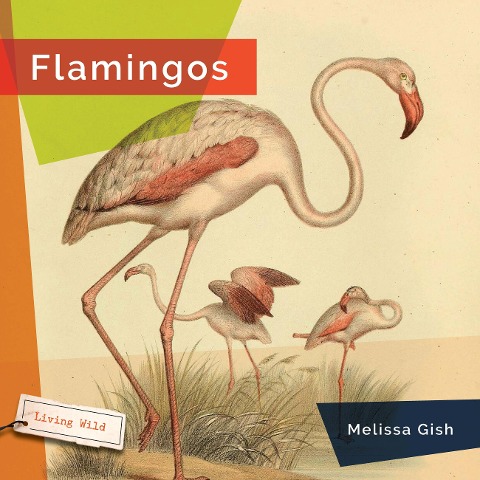 Flamingos - Melissa Gish