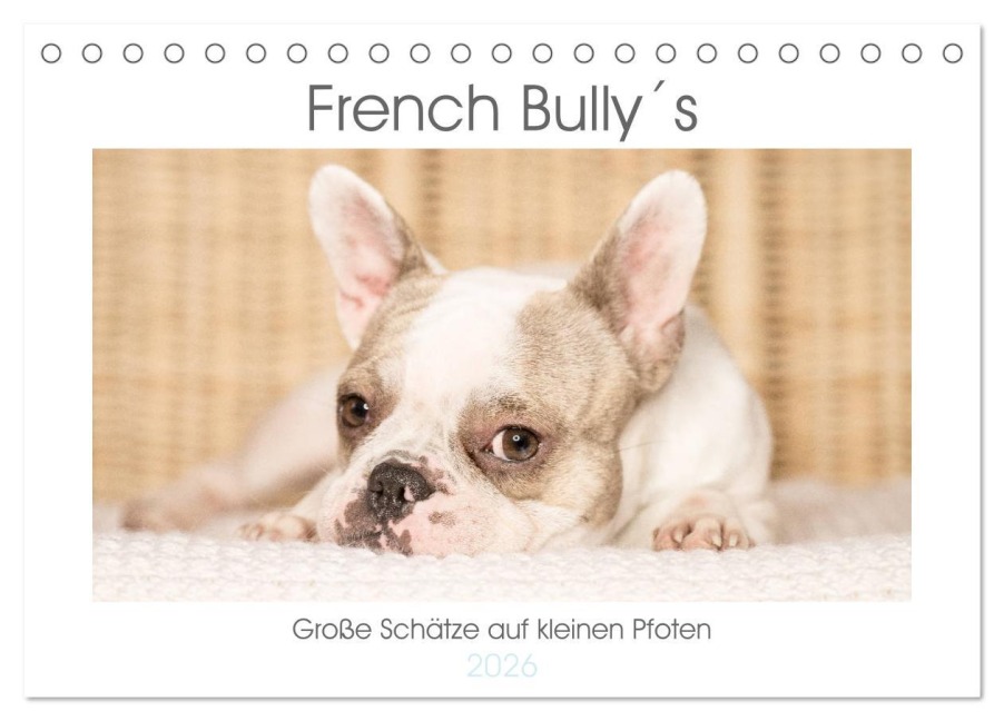 French Bully¿s - Große Schätze auf kleinen Pfoten (Tischkalender 2026 DIN A5 quer), CALVENDO Monatskalender - Susanne Stark Sugarsweet - Photo