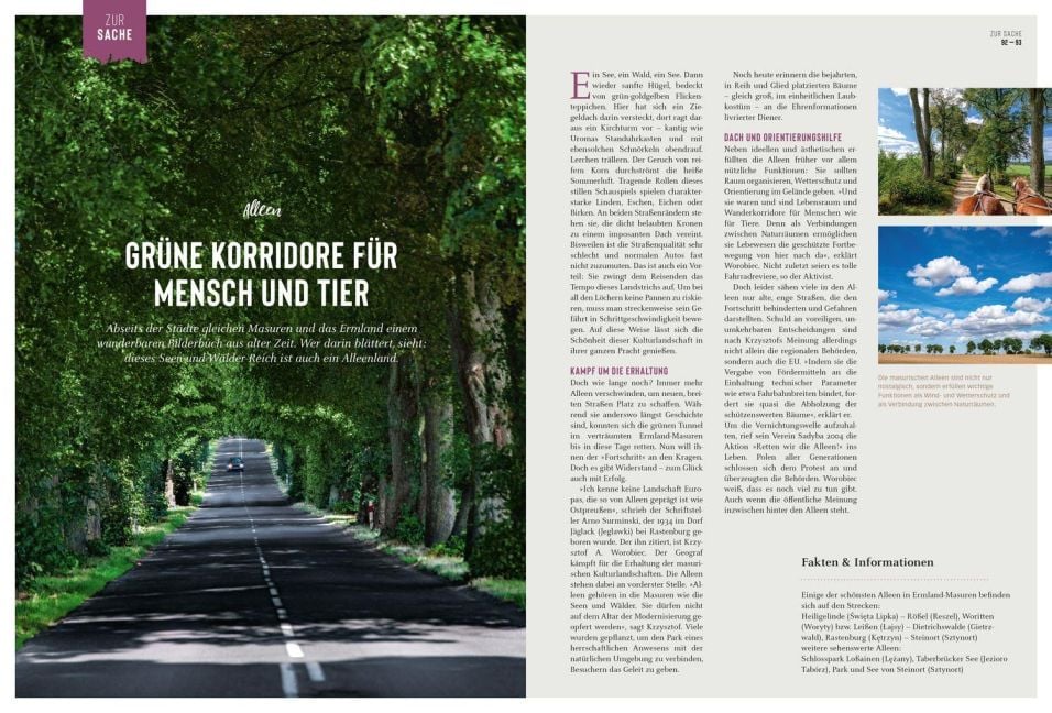 InsideView 8