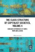 Cover-Bild zum Titel 'The Class Structure of Capitalist Societies, Volume 4' von 'Will Atkinson'