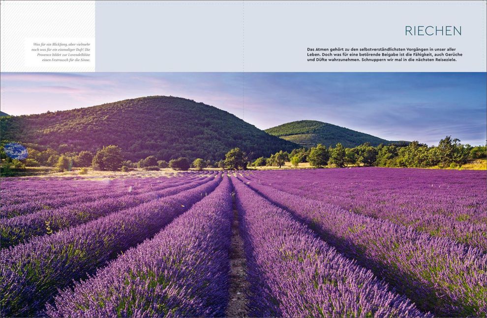 InsideView 10
