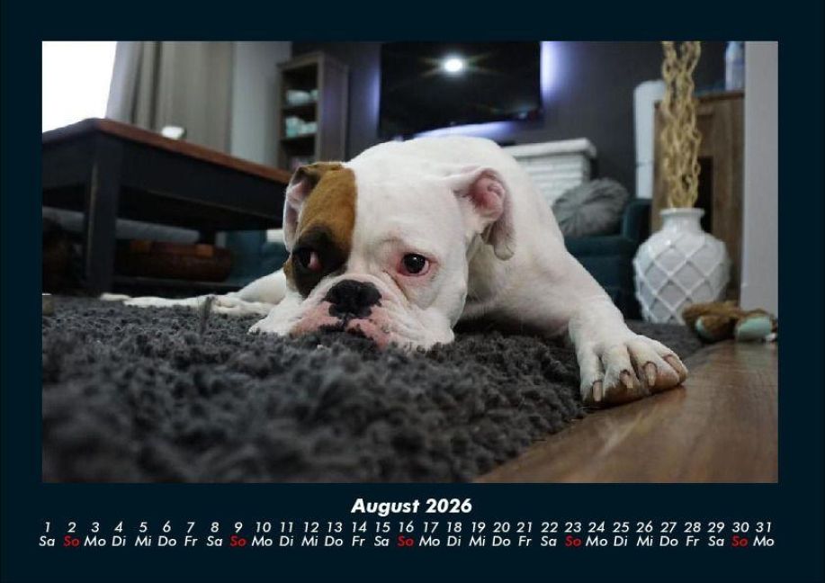 InsideView 12