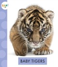 Baby Tigers - K C Kelley