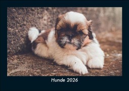Cover-Bild zum Titel 'Hunde 2026 Fotokalender DIN A5' von 'Tobias Becker'