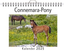 Cover-Bild zum Titel 'Connemara-Pony' von 'Ben Münch'