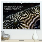 Unterwasser Strukuren (hochwertiger Premium Wandkalender 2026 DIN A2 quer), Kunstdruck in Hochglanz - Karsten Schulze