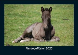 Cover-Bild zum Titel 'Pferdegeflüster 2025 Fotokalender DIN A5' von 'Tobias Becker'