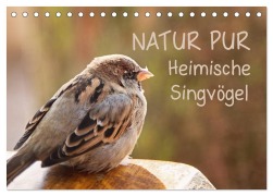 Cover-Bild zum Titel 'NATUR PUR Heimische Singvögel (Tischkalender 2026 DIN A5 quer), CALVENDO Monatskalender' von 'Karin Dietzel'