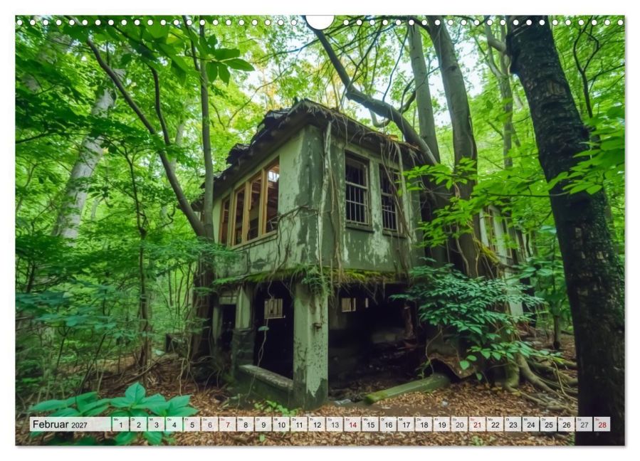 InsideView 7