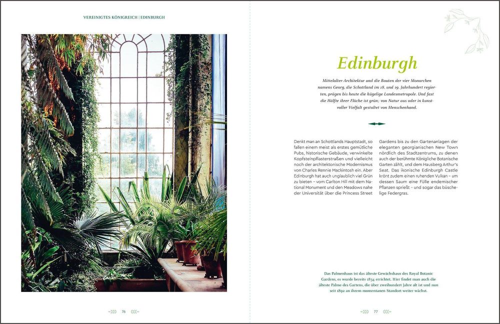 InsideView 6