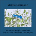 Cover-Bild zum Titel 'Meine Sichtung in Hessdalen (19.07.2018 Hessdalen, Norwegen)' von 'Mattis Lühmann, Mattis Lühmann'