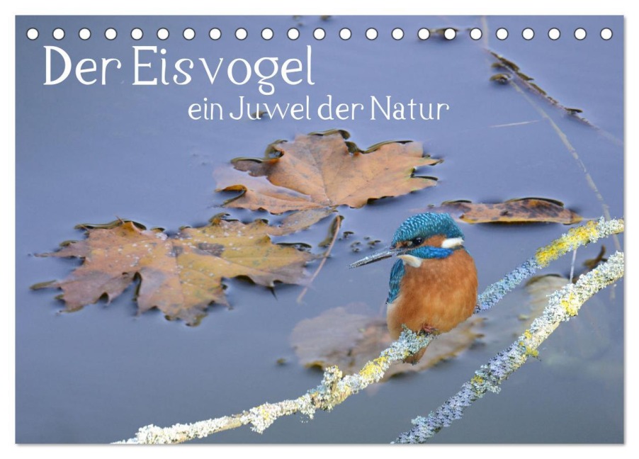 Der Eisvogel, ein Juwel der Natur (Tischkalender 2026 DIN A5 quer), CALVENDO Monatskalender - Rufotos Rufotos