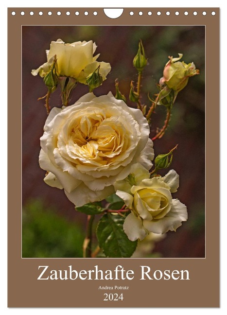 Zauberhafte Rosen (Wandkalender 2024 DIN A4 hoch), CALVENDO Monatskalender - Andrea Potratz