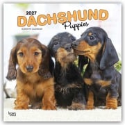 Cover-Bild zum Titel 'Dachshund Puppies - Dackel Welpen 2027 - 16-Monatskalender' von 'Browntrout Publishers'