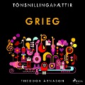 Cover-Bild zum Titel 'Tónsnillingaþættir: Grieg' von 'Theódór Árnason'