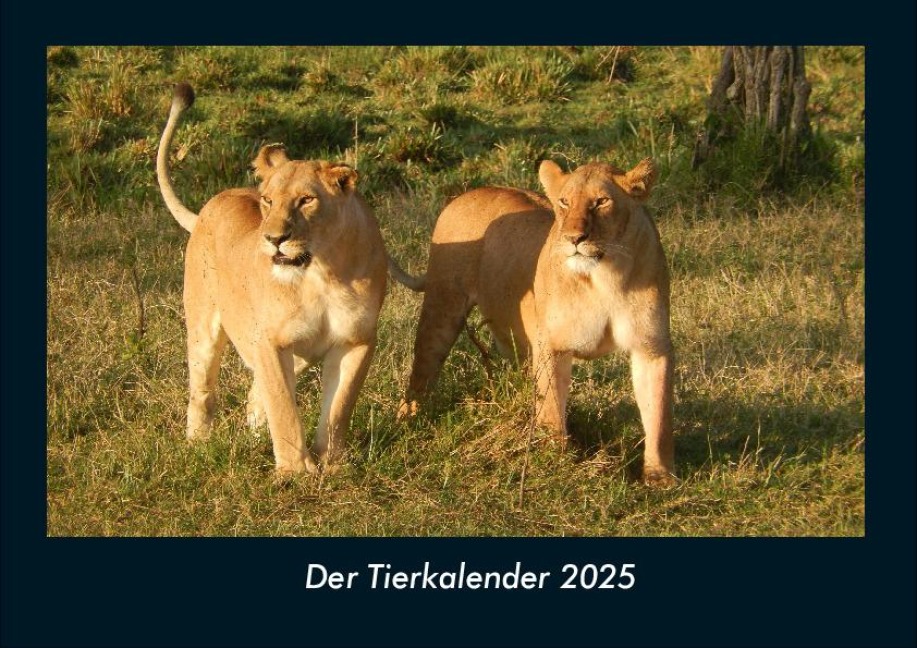 Der Tierkalender 2025 Fotokalender DIN A4 - Tobias Becker