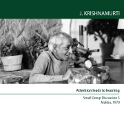 Attention leads to learning - Jiddu Krishnamurti
