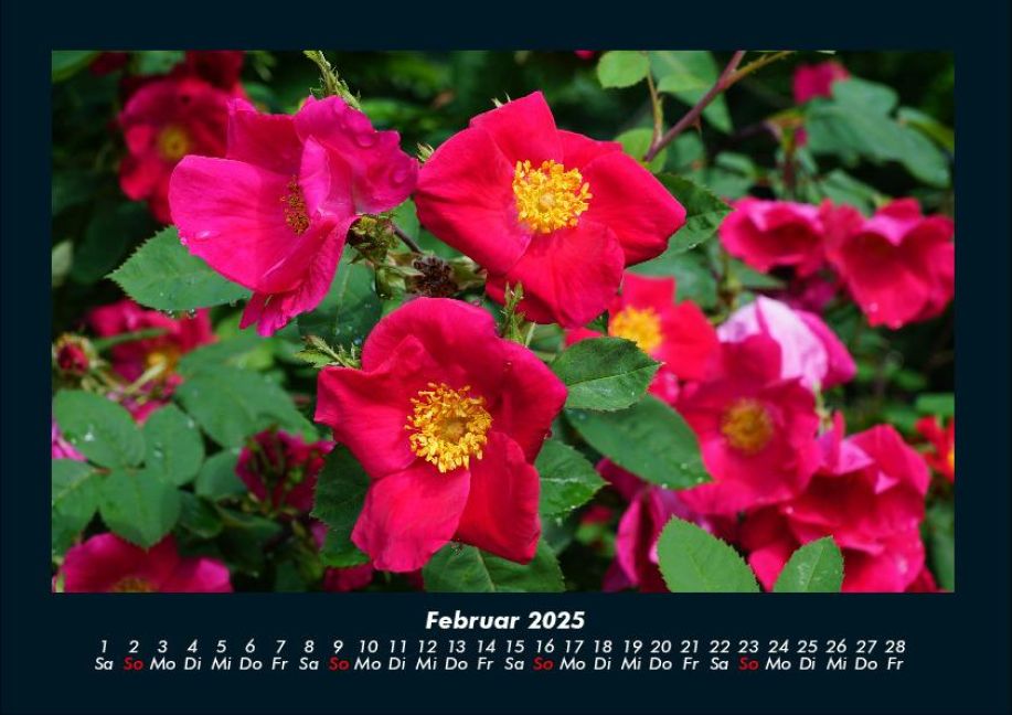 InsideView 6