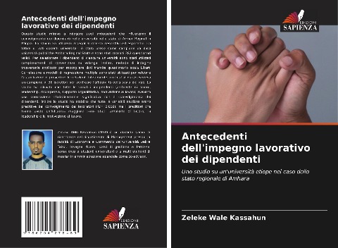 Antecedenti dell'impegno lavorativo dei dipendenti - Zeleke Wale Kassahun