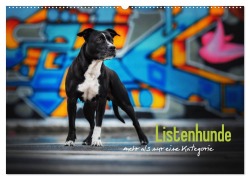 Listenhunde - mehr als nur eine Kategorie (Wandkalender 2026 DIN A2 quer), CALVENDO Monatskalender - Sabrina Wobith Photography