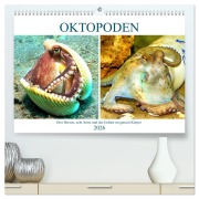 Oktopoden. Drei Herzen, acht Arme und das Gehirn im ganzen Körper (hochwertiger Premium Wandkalender 2026 DIN A2 quer), Kunstdruck in Hochglanz - Rose Hurley