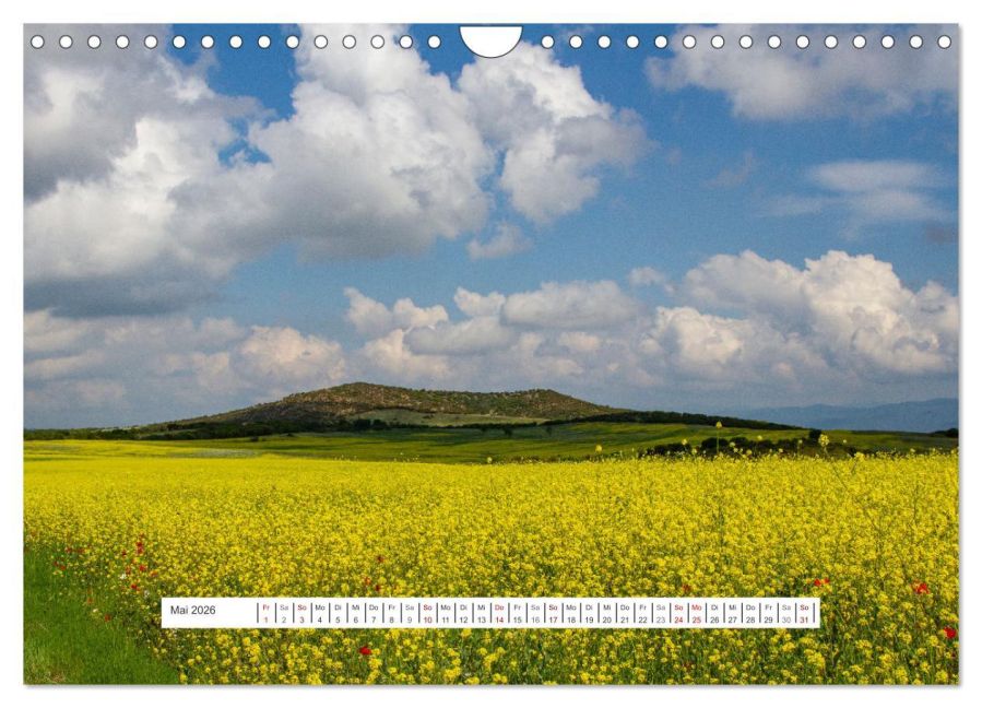 InsideView 10