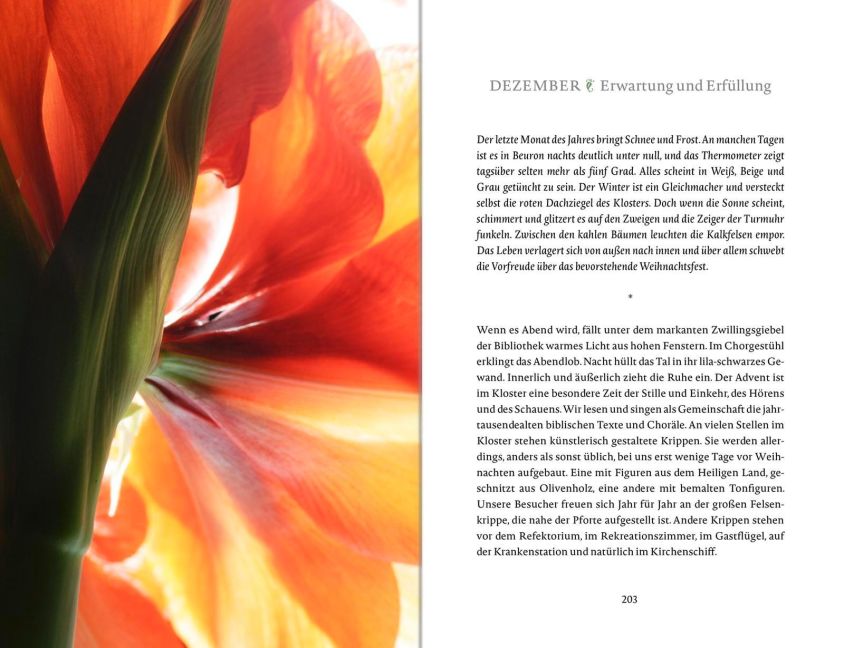 InsideView 11