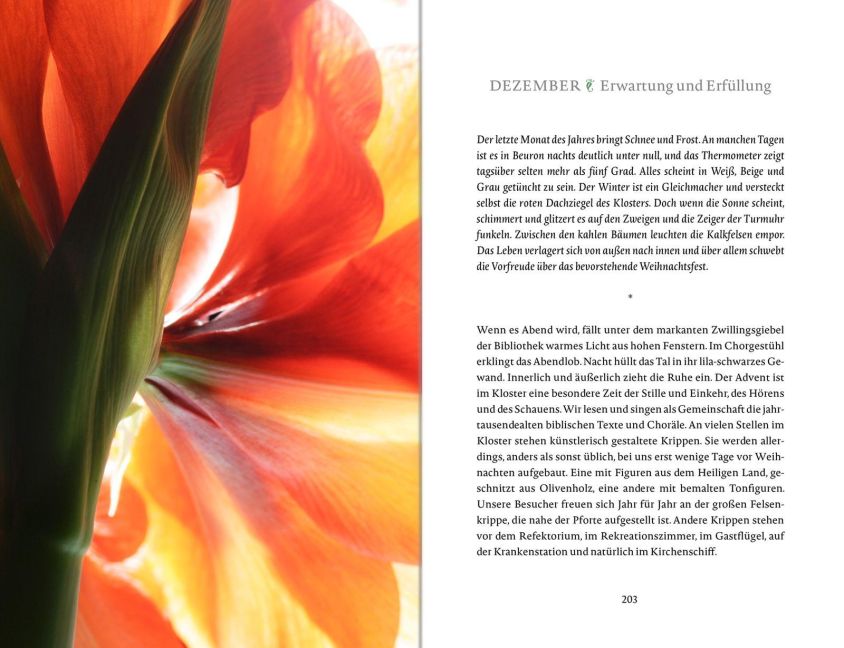 InsideView 11