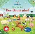 Cover-Bild zum Titel 'Nina und Jan - Hörst du das? Der Bauernhof' von 'Sam Taplin, Felicity Brooks'