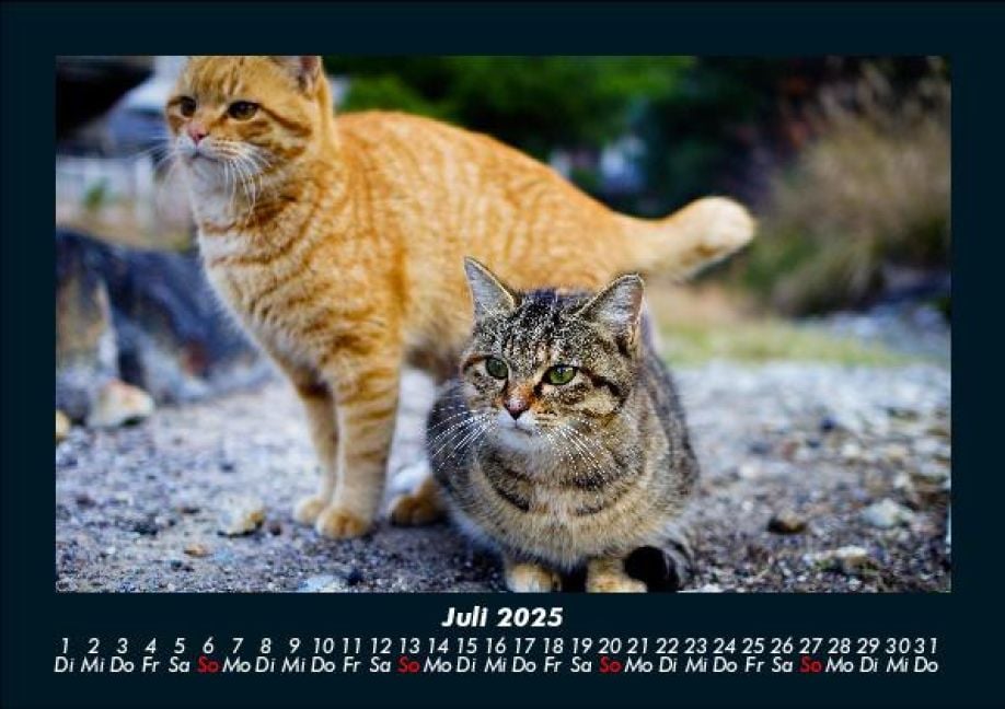 InsideView 11