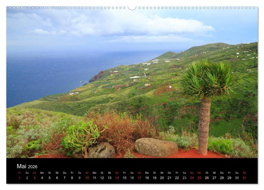 InsideView 9