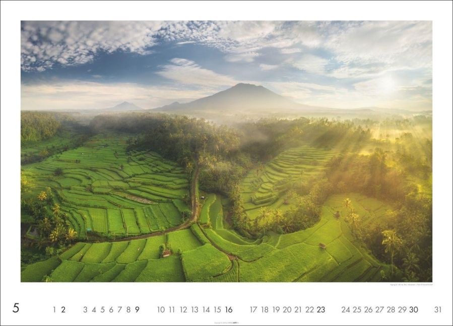 InsideView 5