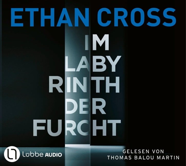 Im Labyrinth der Furcht - Ethan Cross
