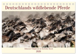 Cover-Bild zum Titel 'Deutschlands wildlebende Pferde (Tischkalender 2026 DIN A5 quer), CALVENDO Monatskalender' von 'Marcel René Grossmann'