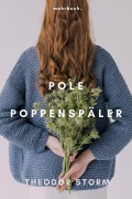 Cover-Bild zum Titel 'Pole Poppenspäler' von 'Theodor Storm'