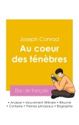 Cover-Bild zum Titel 'Réussir son Bac de français 2026 : Analyse du roman Au coeur des ténèbres de Joseph Conrad' von 'Joseph Conrad'