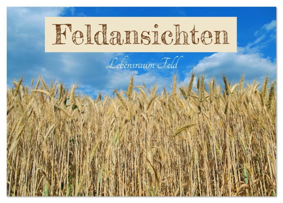 Feldansichten (Tischkalender 2026 DIN A5 quer), CALVENDO Monatskalender - Christine Wirges