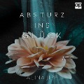 Cover-Bild zum Titel 'Absturz ins Glück' von 'Alina Jipp'