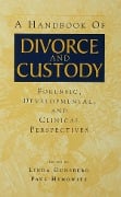 Cover-Bild zum Titel 'A Handbook of Divorce and Custody' von ''