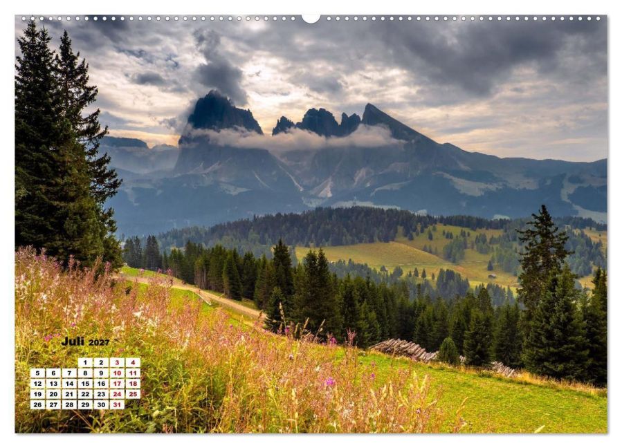 InsideView 12