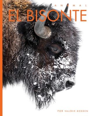 El Bisonte - Valerie Bodden