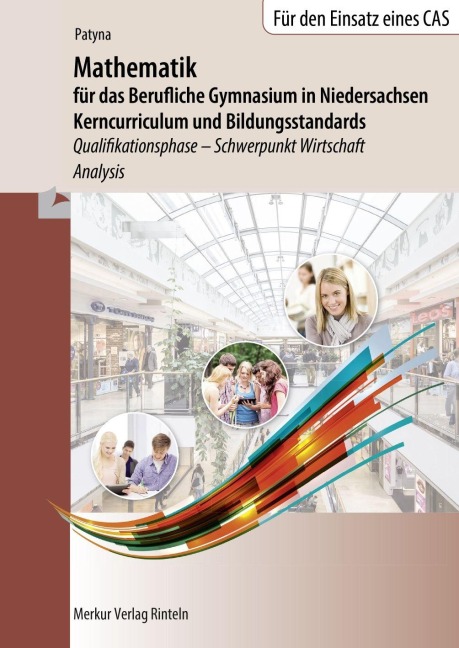 Mathematik für das Berufliche Gymnasium in Niedersachsen. Schulbuch. Schwerpunkt Wirtschaft - Analysis - Marion Patyna
