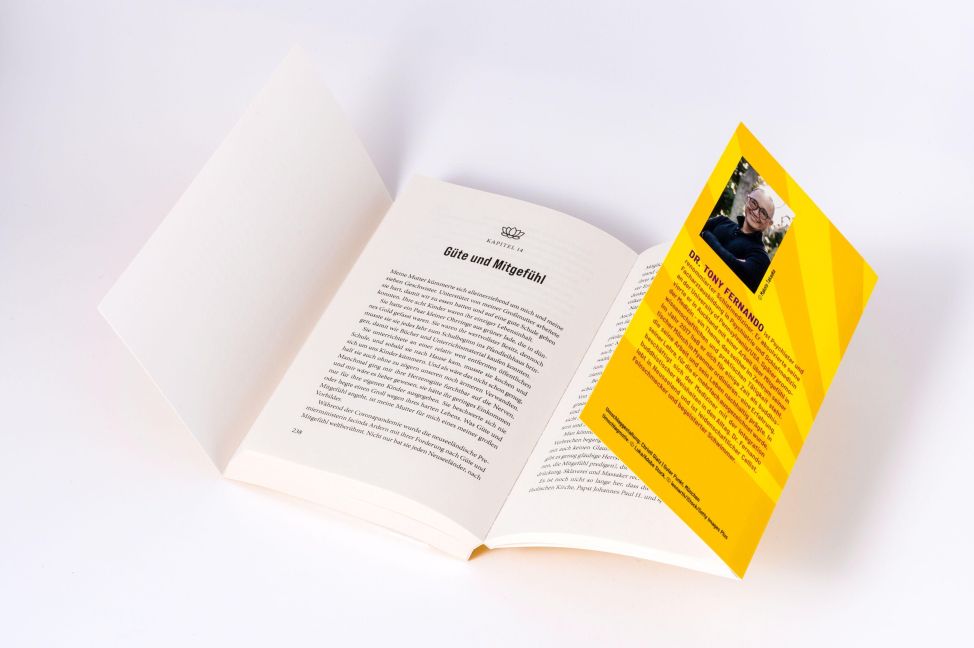 InsideView 6