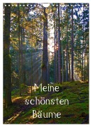Cover-Bild zum Titel 'Meine schönsten Bäume (Wandkalender 2026 DIN A4 hoch), CALVENDO Monatskalender' von 'Christa Kramer'