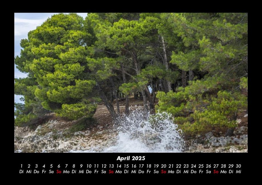 InsideView 8
