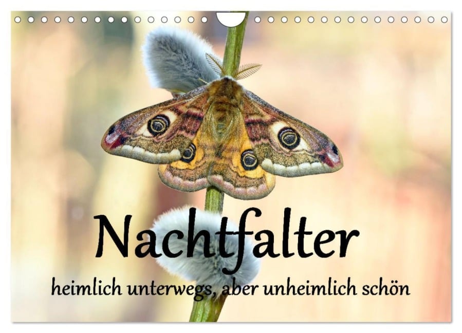 Nachtfalter - heimlich unterwegs, aber unheimlich schön (Wandkalender 2026 DIN A4 quer), CALVENDO Monatskalender - Gugigei Gugigei