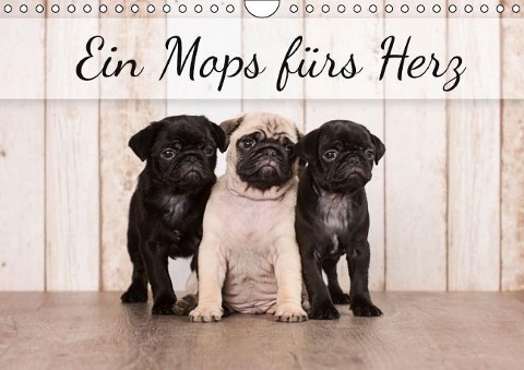 Ein Mops fürs Herz (Wandkalender immerwährend DIN A4 quer) - Nicole Noack