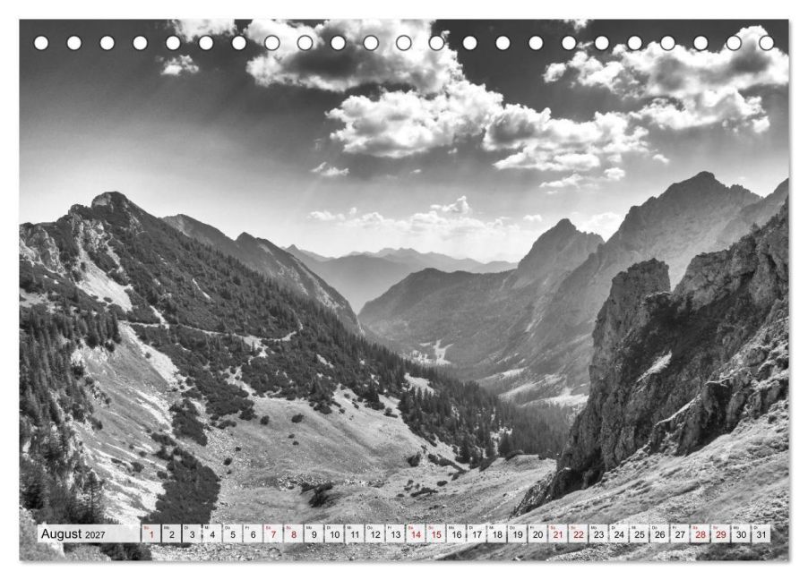 InsideView 13